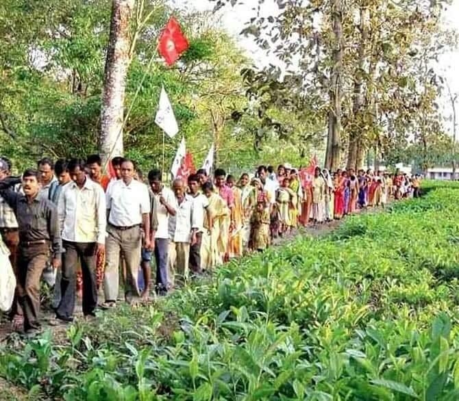 Tea Workers’ Strike Trouble Brewing for the Government of West Bengal